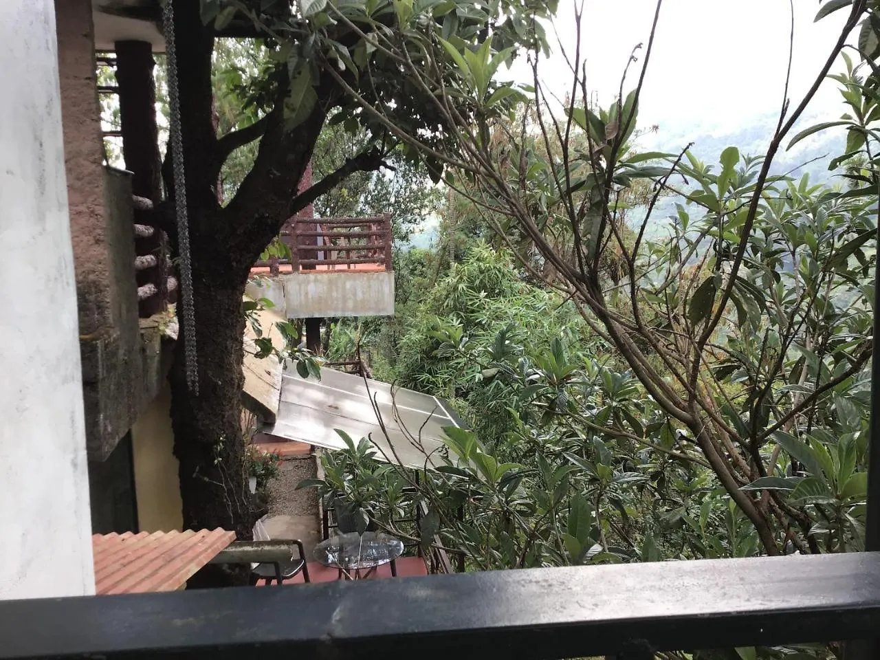 Wild Elephant Eco Friendly Resort Munnar