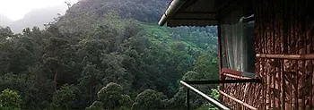 Wild Elephant Eco Friendly Resort Munnar 3*,